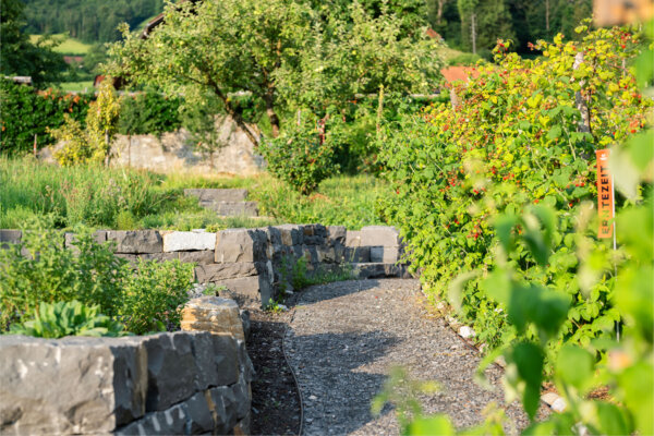 Stiftung Culinarium Alpinum Projekte Essbare Landschaft