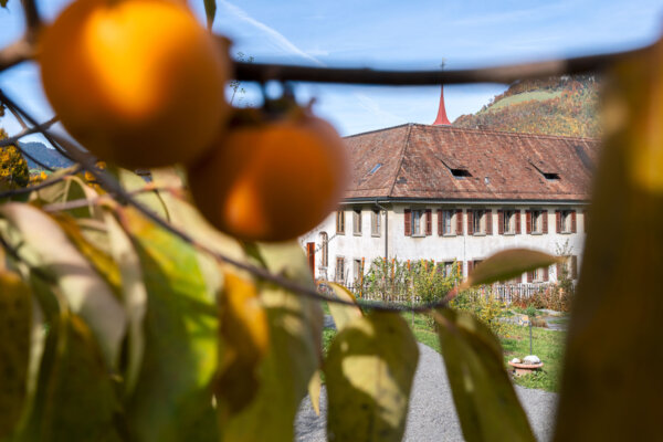 Stiftung Culinarium Alpinum Startseite Portrait Stiftungsrat