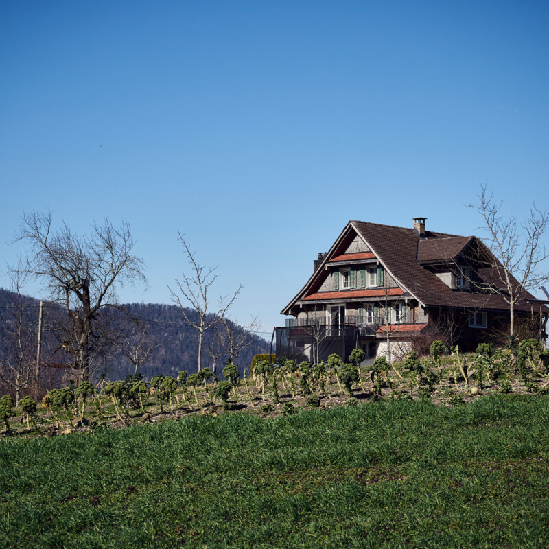 Stiftung Culinarium Alpinum Unterstuetzen Legate